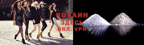 ГАЛЛЮЦИНОГЕННЫЕ ГРИБЫ Беломорск