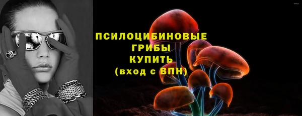 ГАЛЛЮЦИНОГЕННЫЕ ГРИБЫ Беломорск