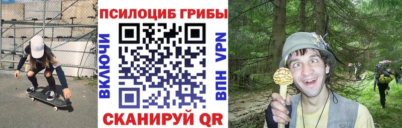 что такое   Крымск  Псилоцибиновые грибы мухоморы 